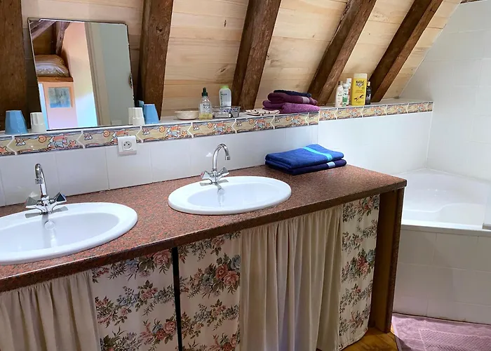 Le Chateau De Busqueilles La Gasthof